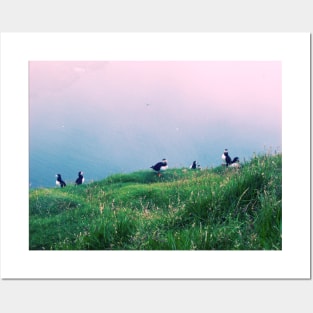 Puffins of Mykines Posters and Art